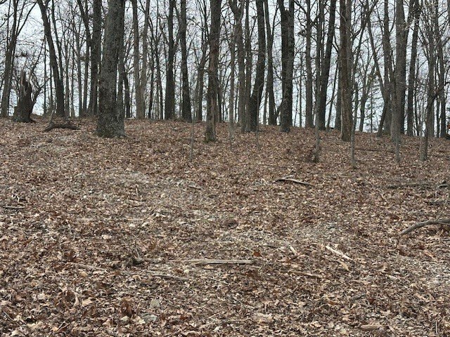 Picture 8