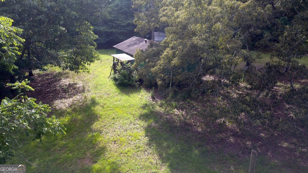 Picture 5