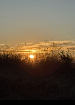 Blue Ridge Land with Views