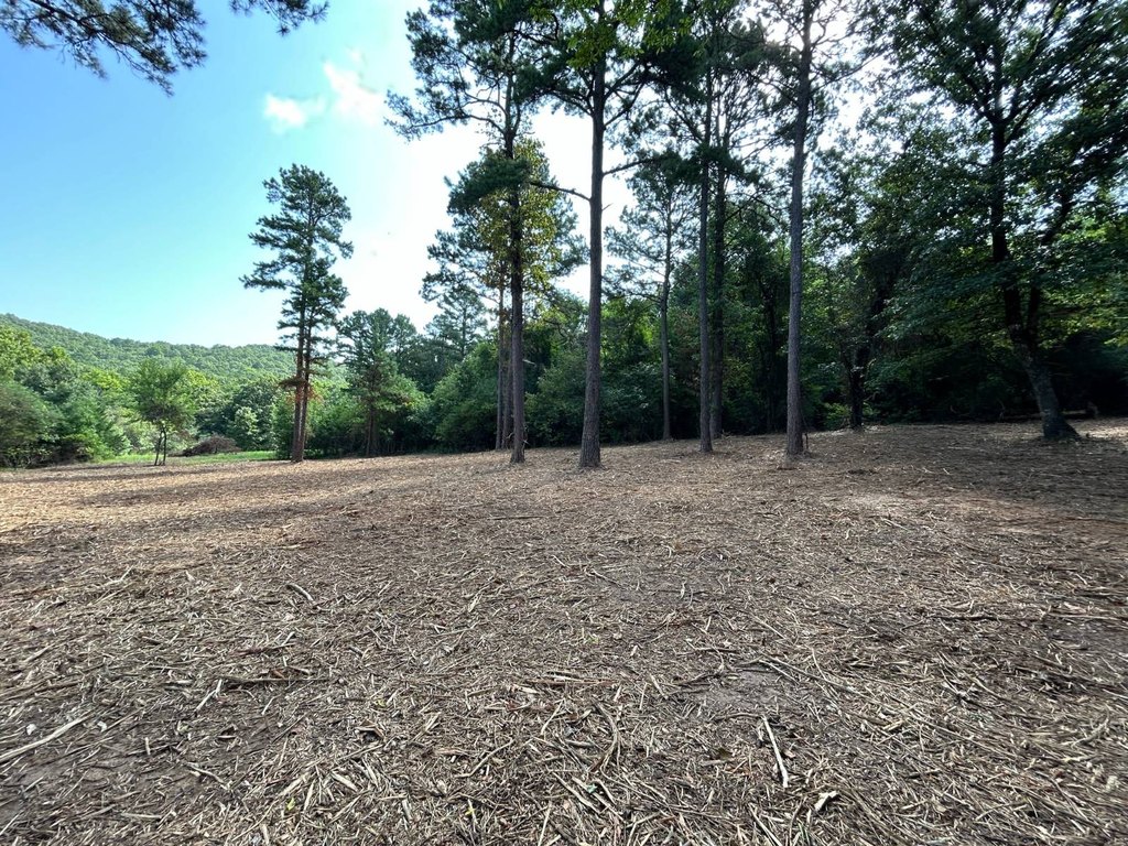 Picture 18