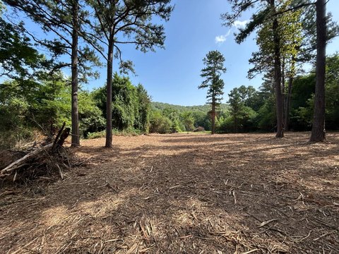 LAND - Ozark, AR