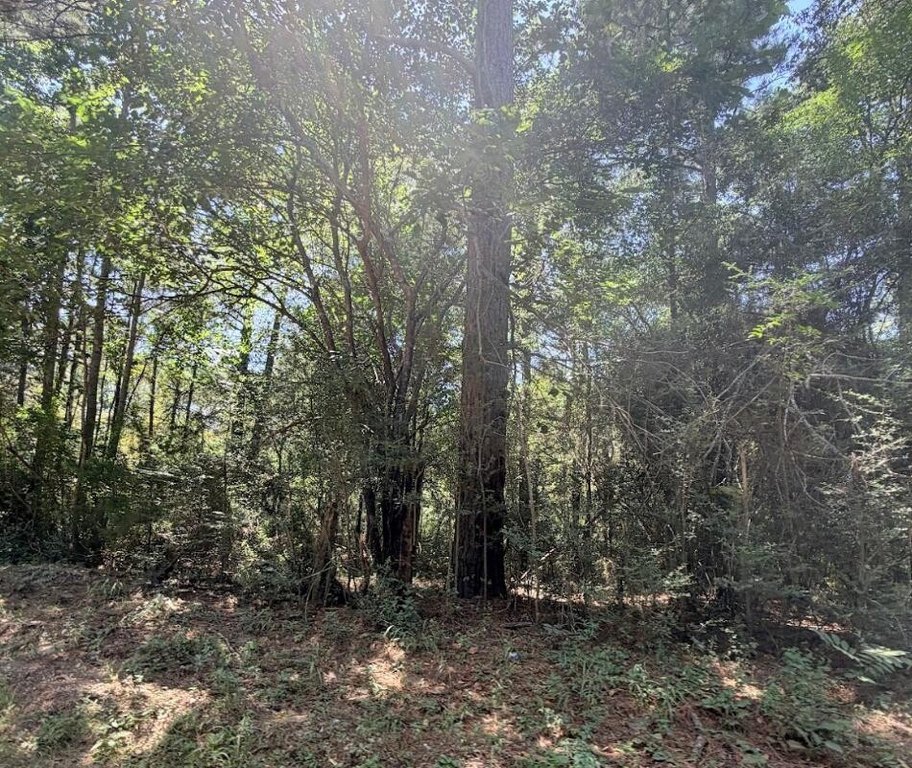 Picture 16