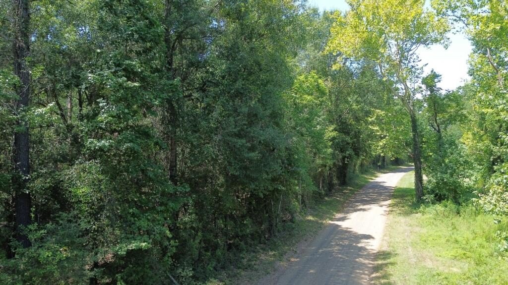 Picture 14