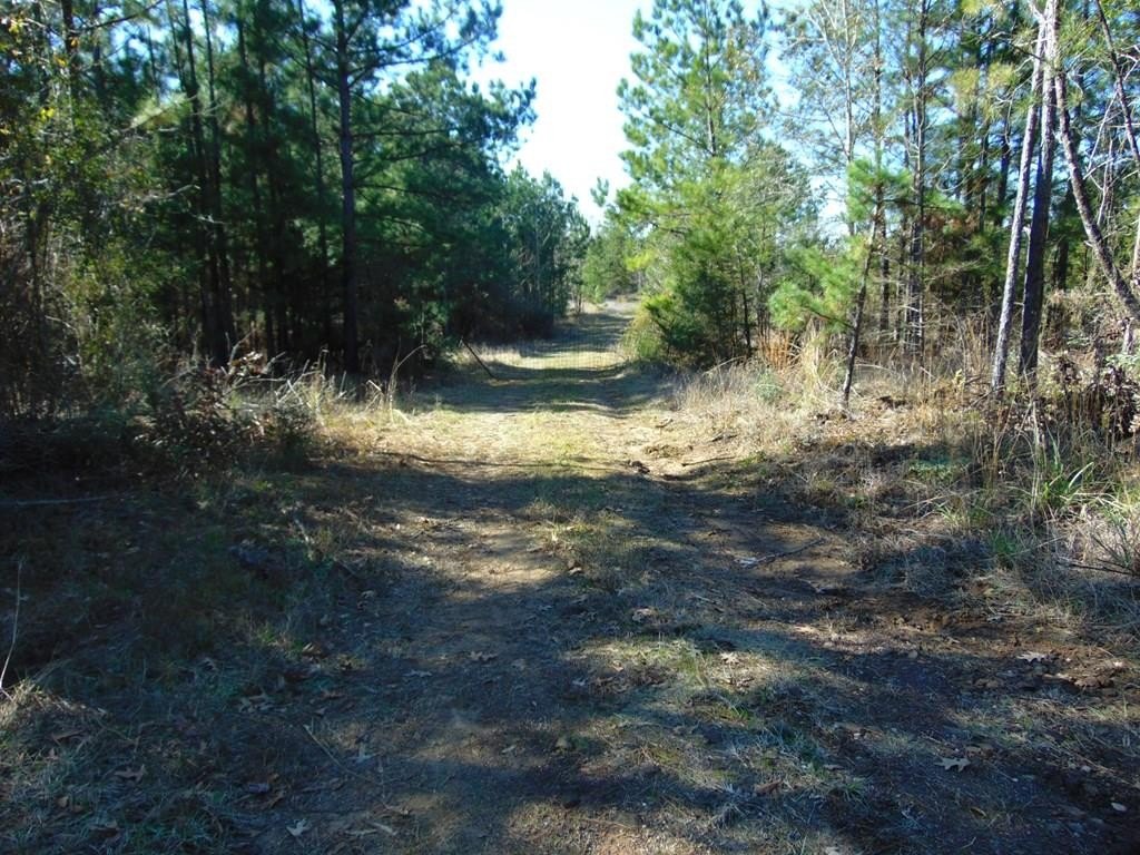 Picture 2