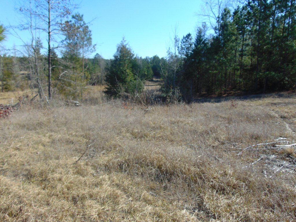 Picture 16