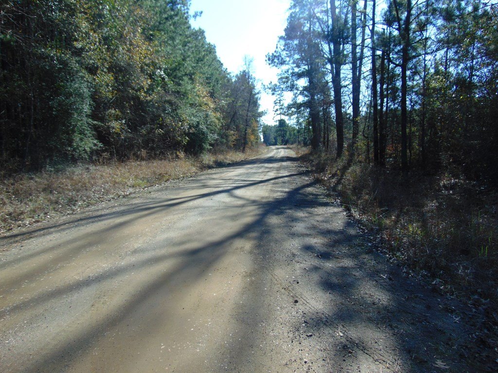 Picture 27