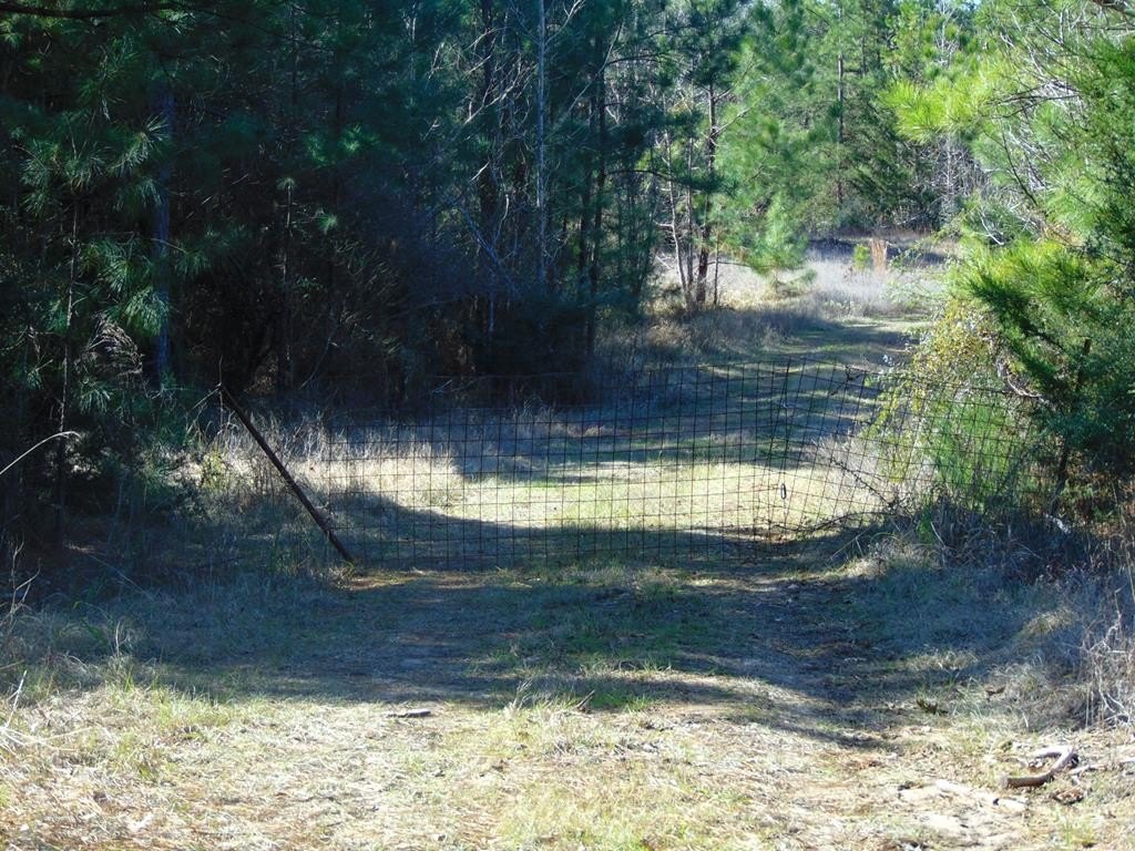20 Acres Pasture and Wooded Land