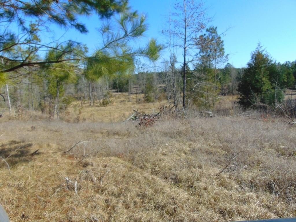 Picture 14