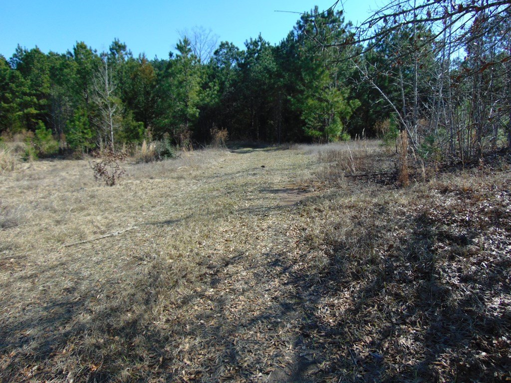 Picture 20