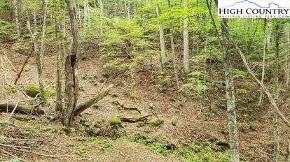 Secluded 1.38 Acre Lot