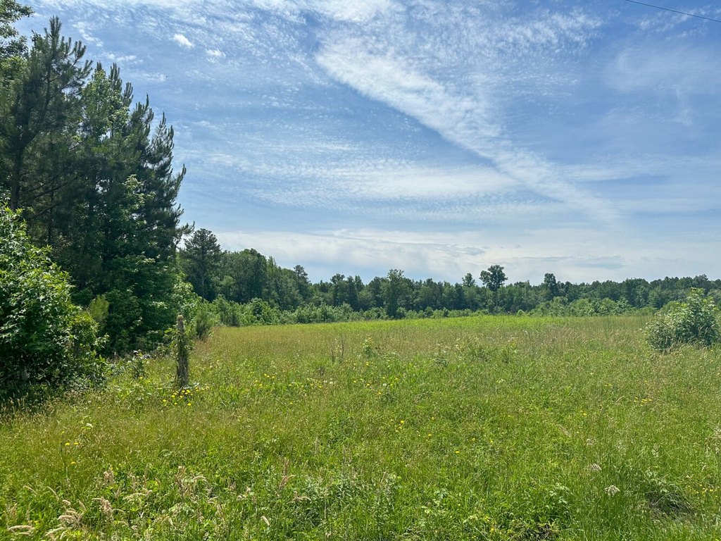 Picture 22