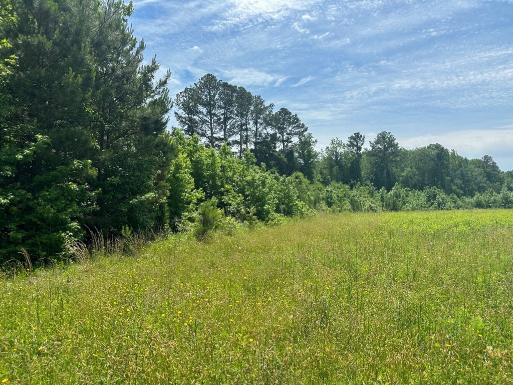 Picture 20