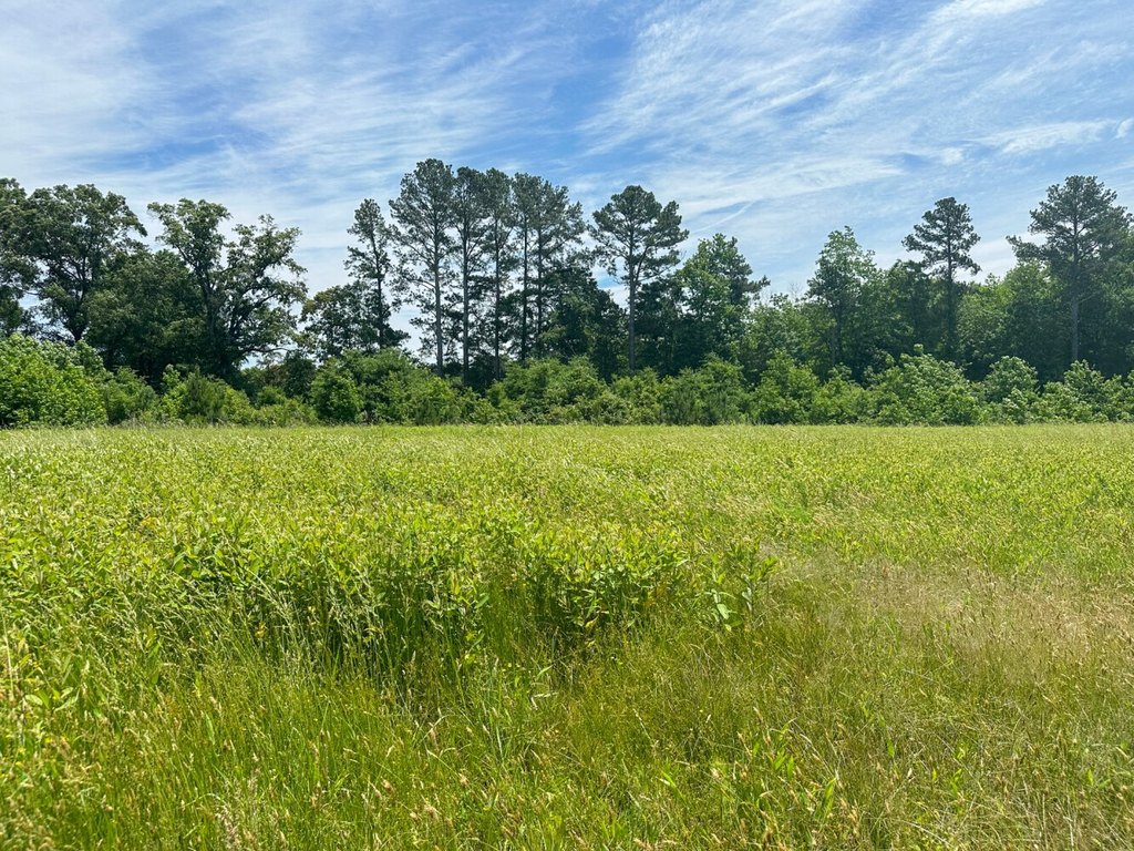 Picture 13