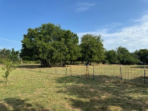 Pastoral Ranch Near Lake Tawakoni