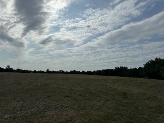 Picture 7