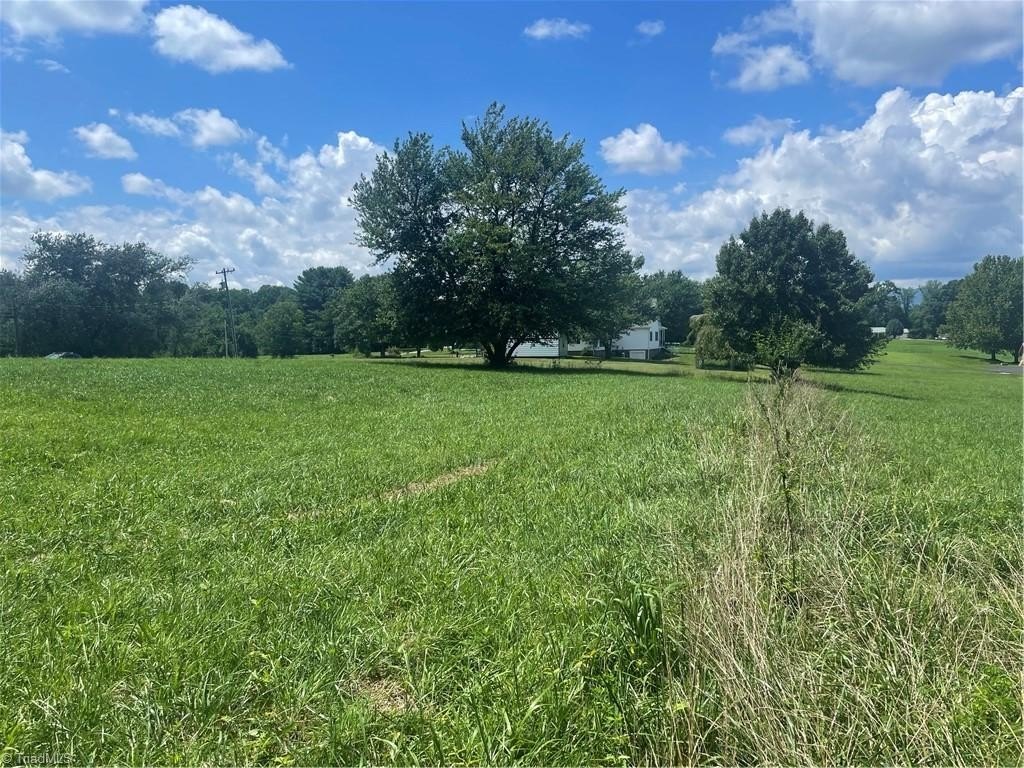Picture 7