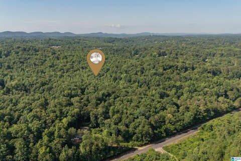 LAND - PINSON, AL