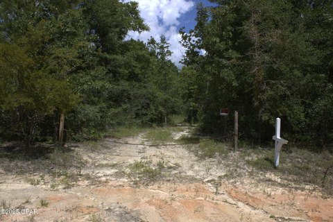 Secluded Acreage with Utilities Ready