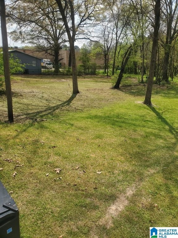 Picture 5