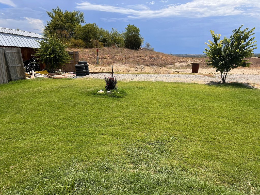 Picture 6