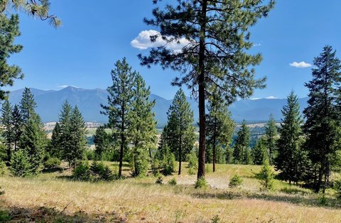 LAND - Eureka, MT