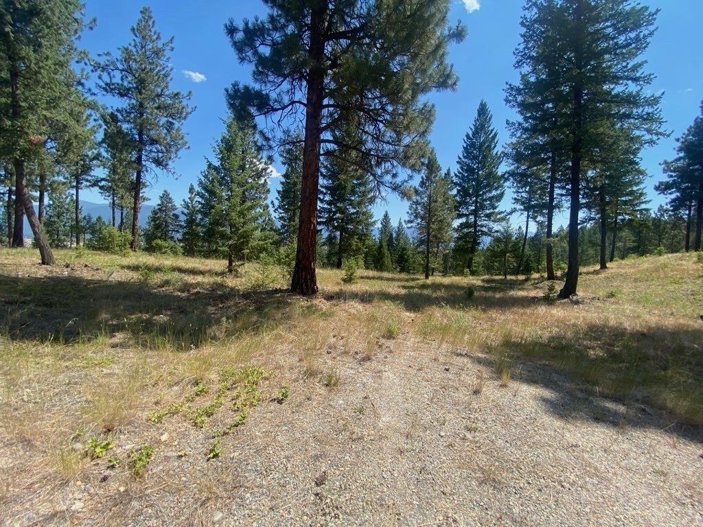 Picture 6