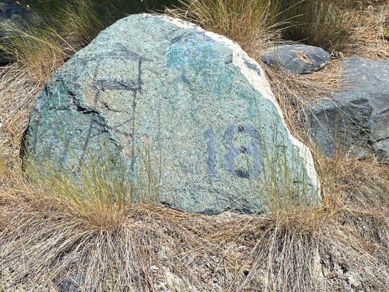 Picture 12