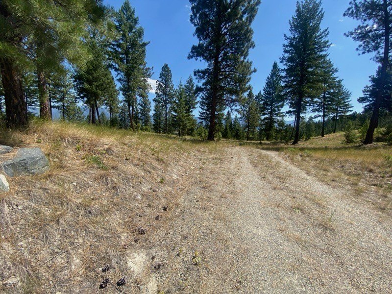 Picture 10