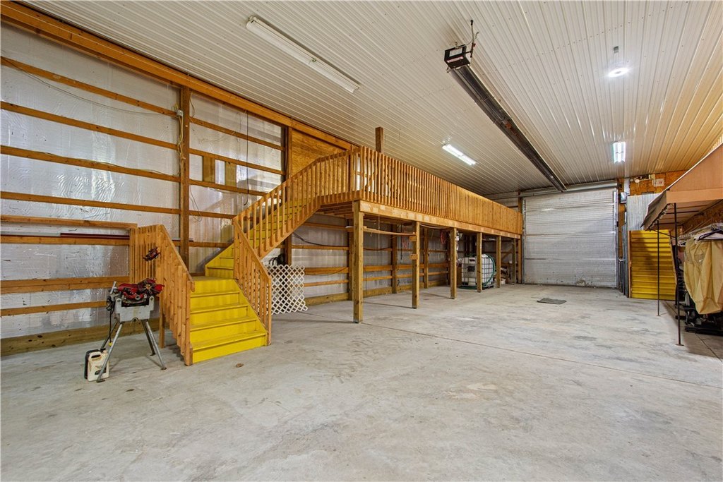 Picture 5