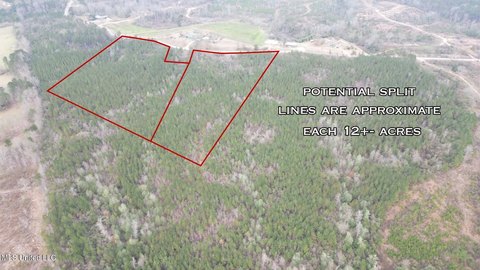 Versatile Land Parcel in Magee, MS