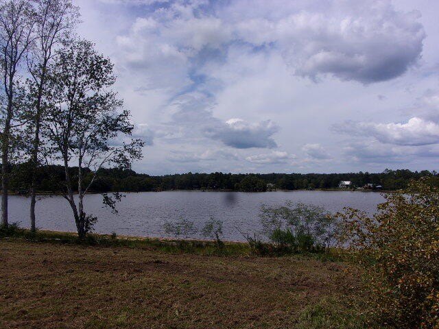 Picture 14