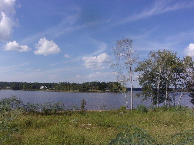 Picture 4