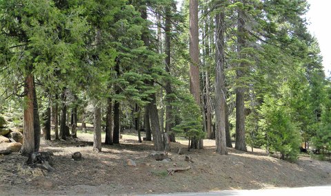 LAND - Lake Almanor, CA