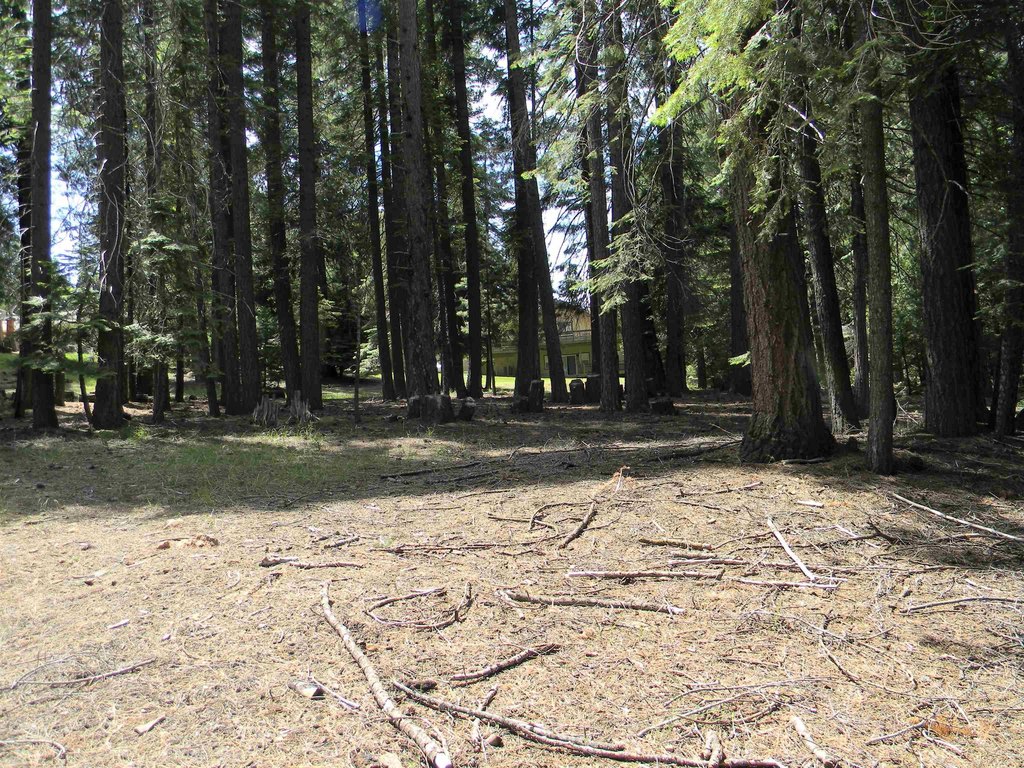 Picture 4