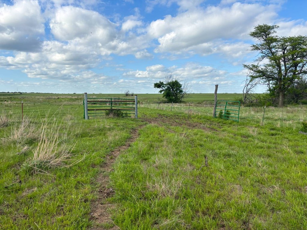 Picture 20