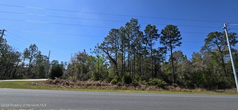 LAND - Weeki Wachee, FL