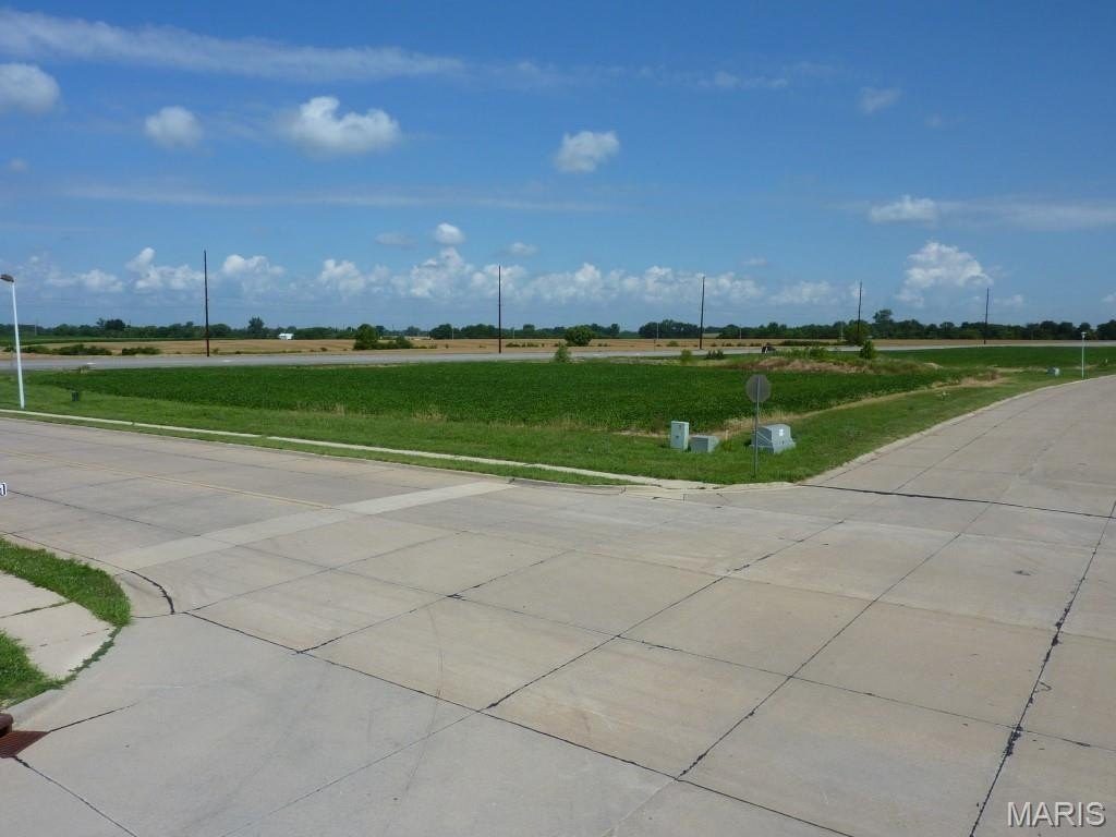 Picture 4