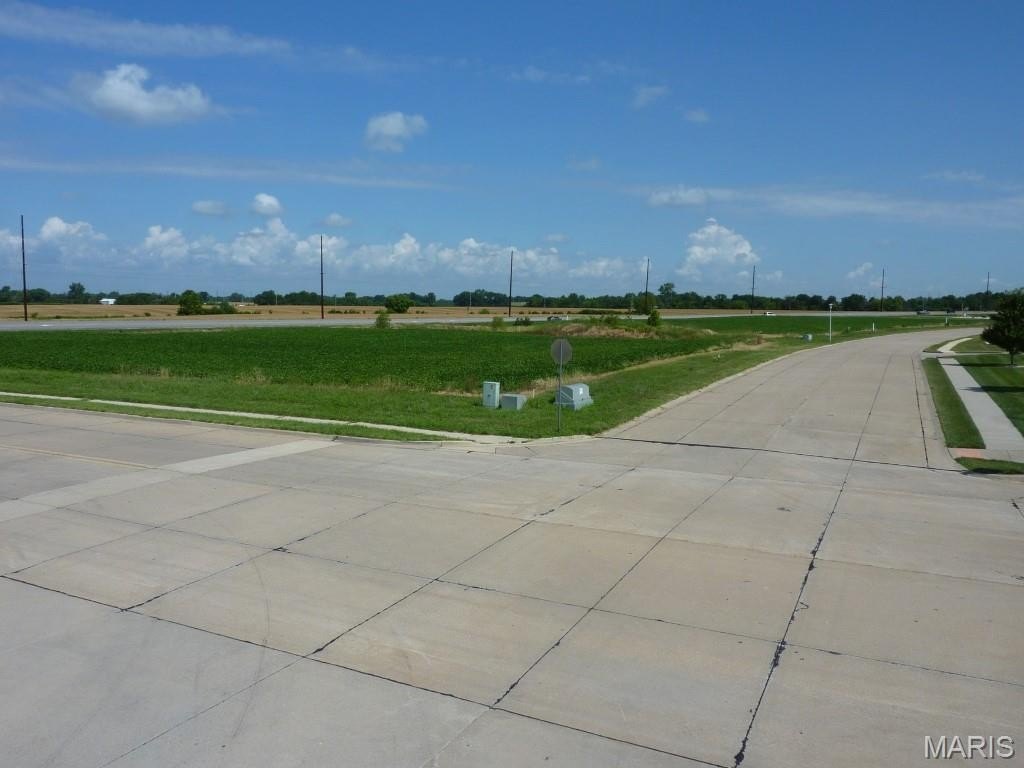 Picture 5