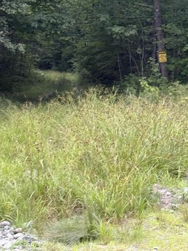 Wooded Land in Moscow, Maine