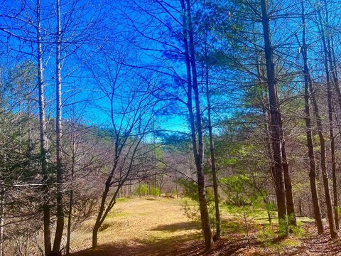 Secluded Land Near New River