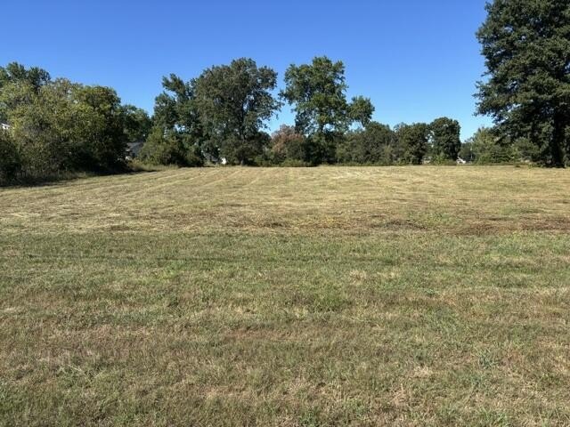 Picture 28
