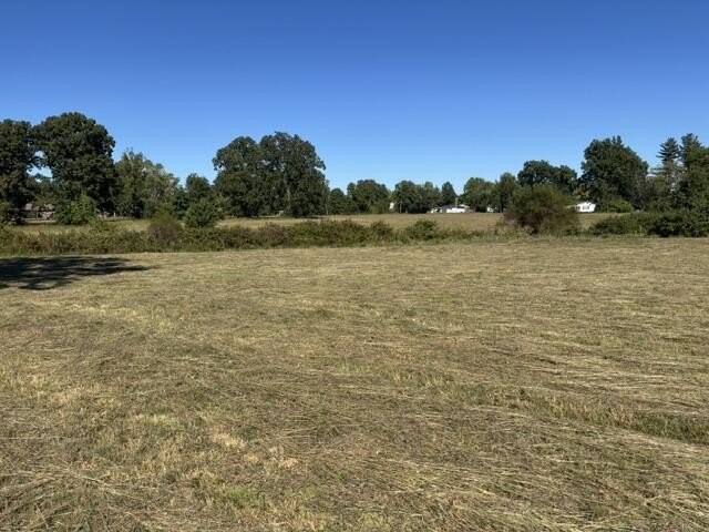 Picture 25