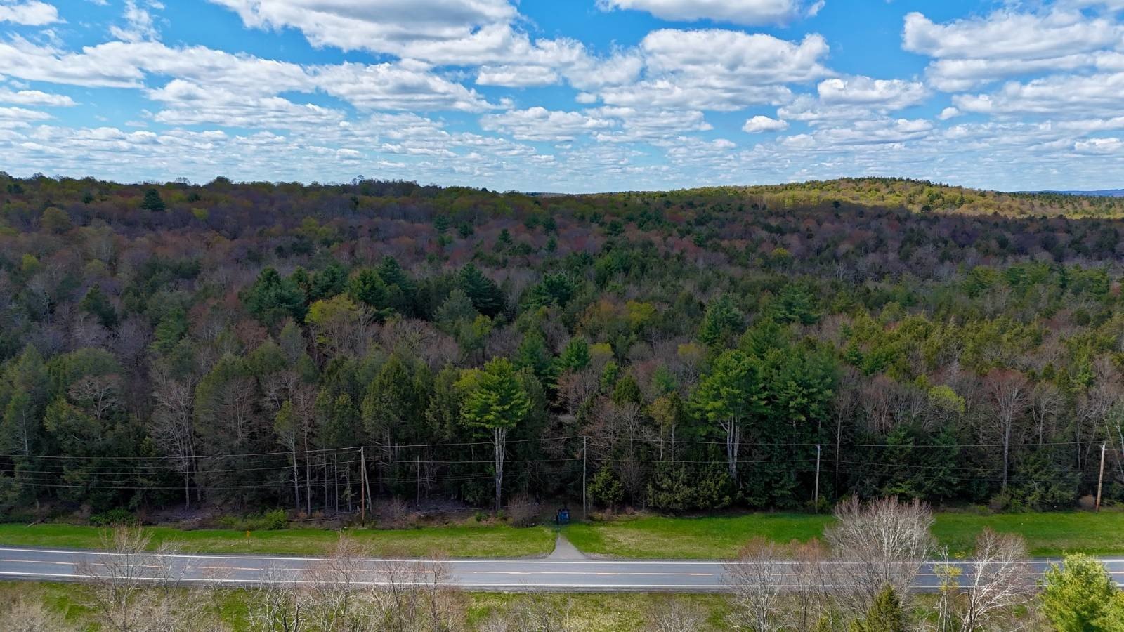 Swan Lake Vacant Land Parcel