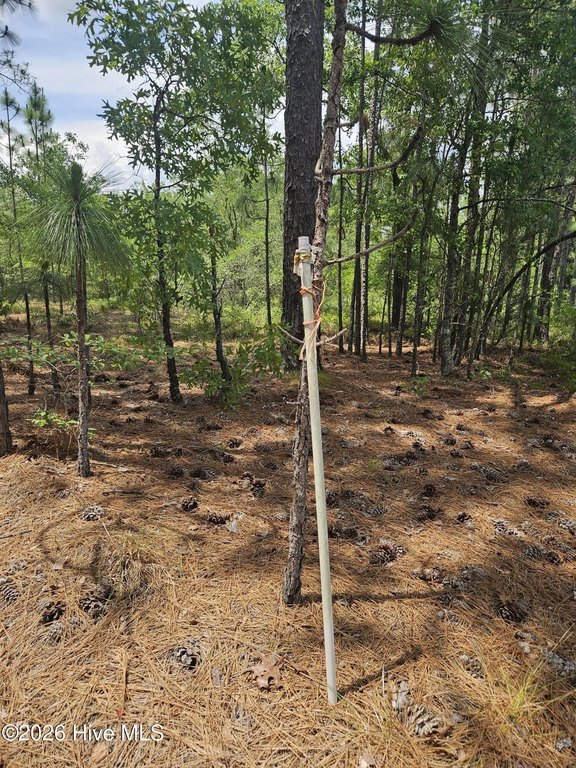 Picture 6