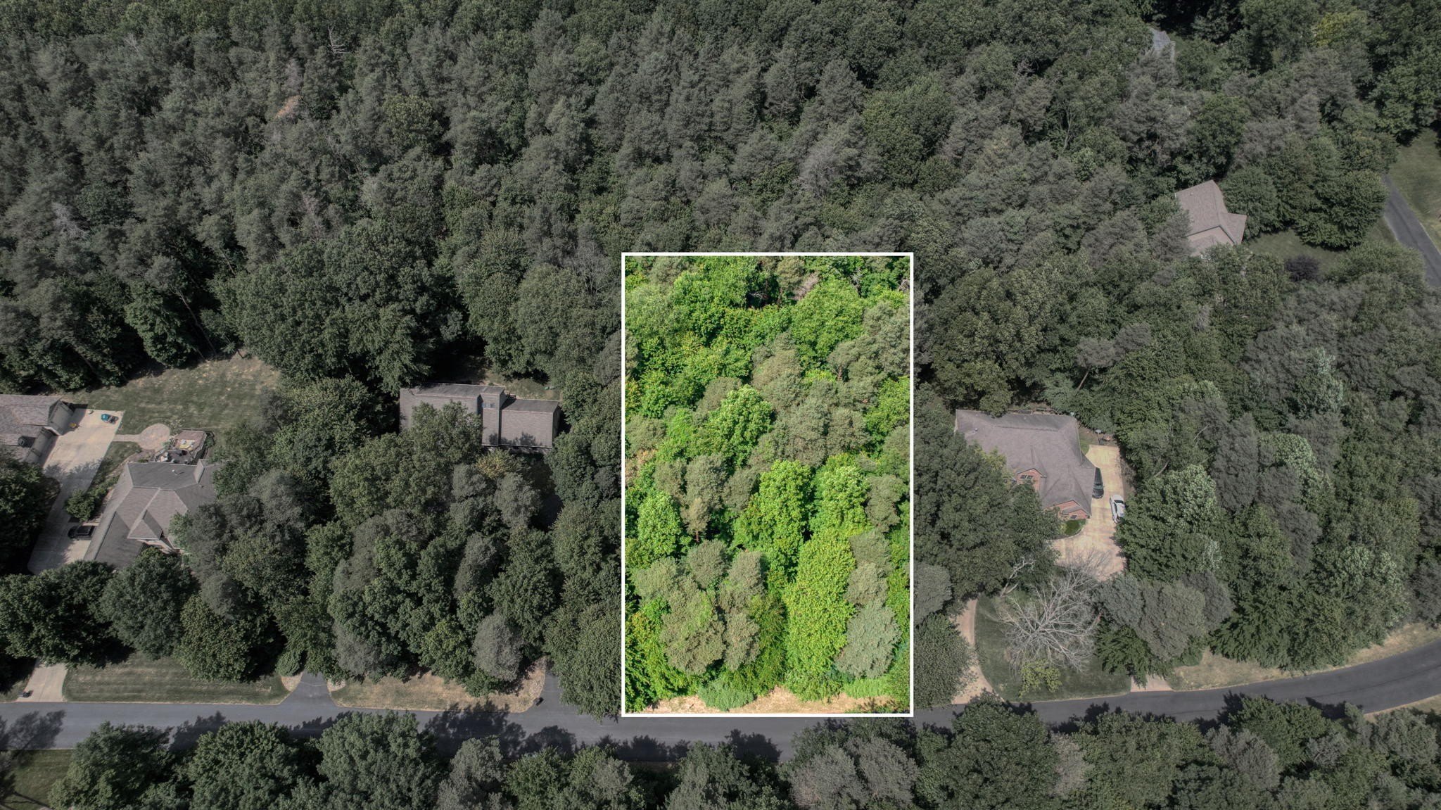 Wooded Lot in Gated Community
