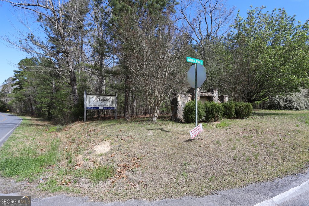 Picture 2