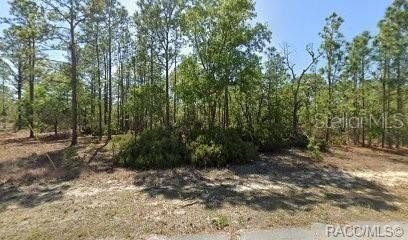 Land, CITRUS SPRINGS, FL