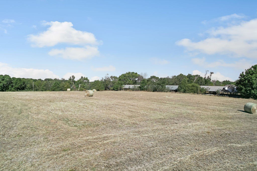 Picture 21