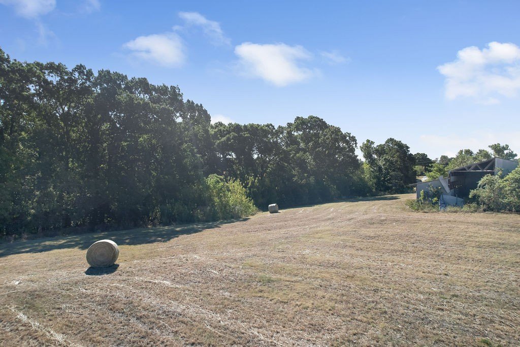 Picture 20
