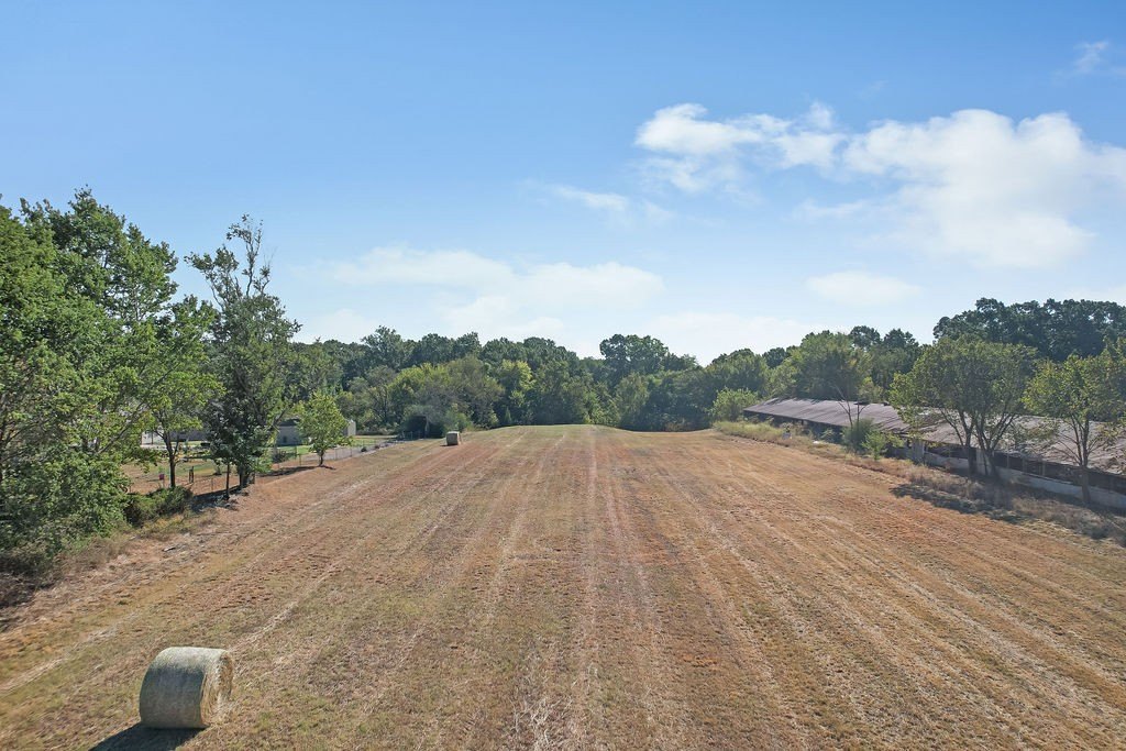 Picture 15